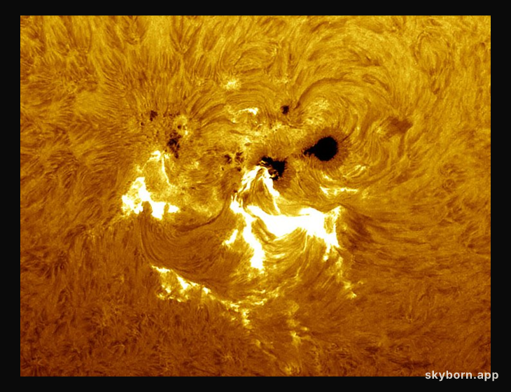 A Large Active Region Crosses the Sun