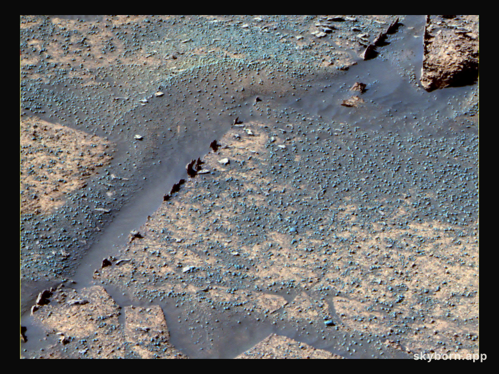 Razorbacks in Endurance Crater