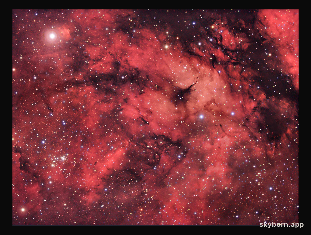 A Cygnus Starfield