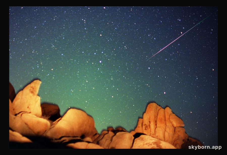 A Perseid Meteor