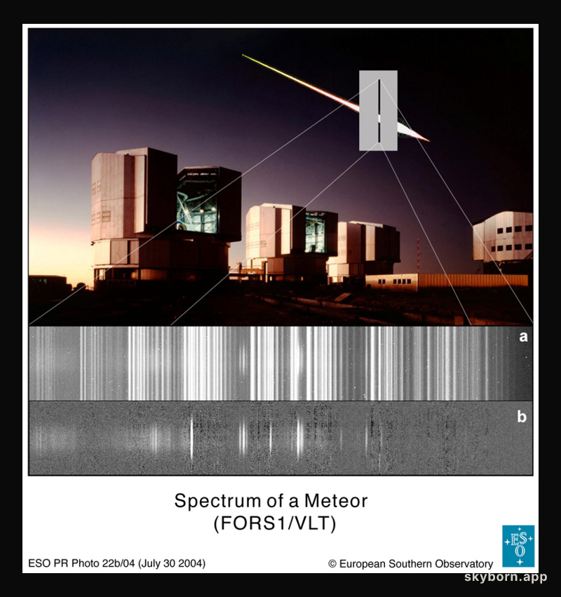 The Spectrum of a Meteor