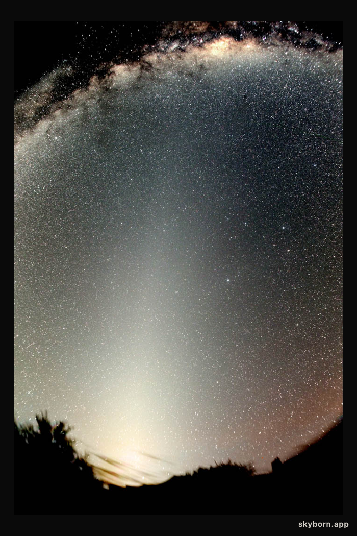 Zodiacal Light and the False Dawn