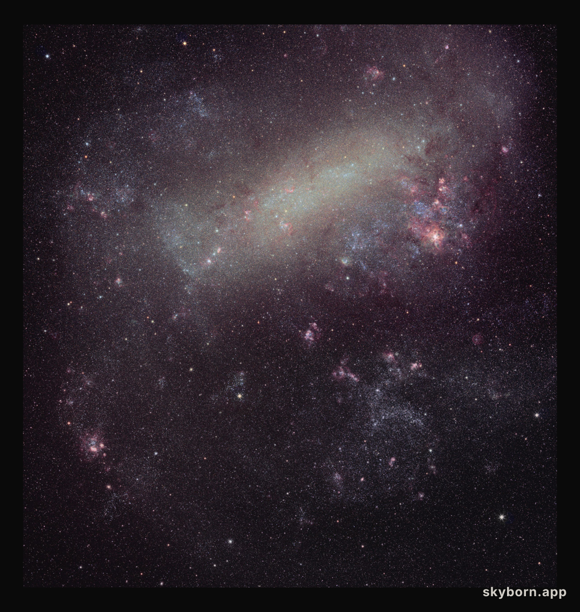The Large Cloud of Magellan