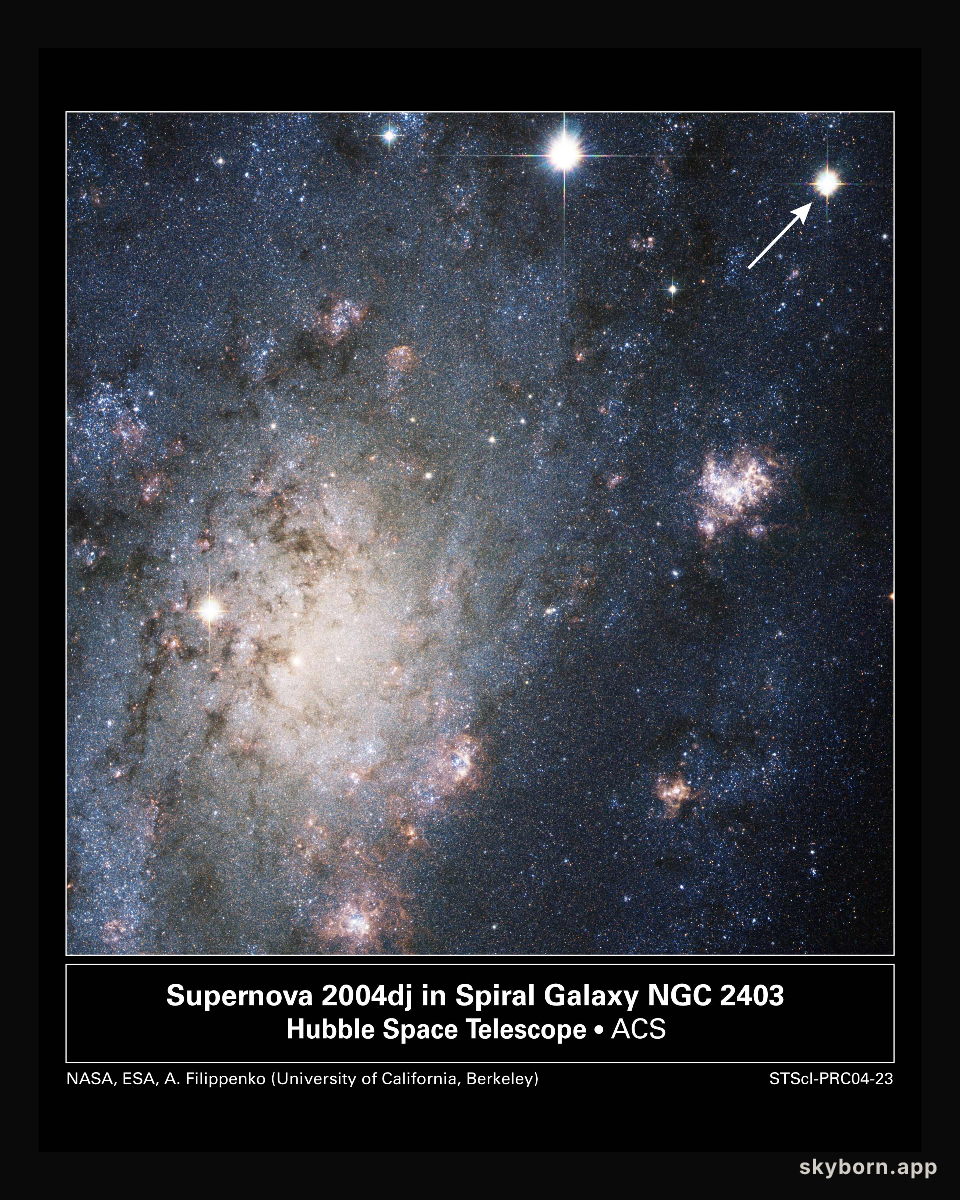 A Supernova in Nearby Galaxy NGC 2403