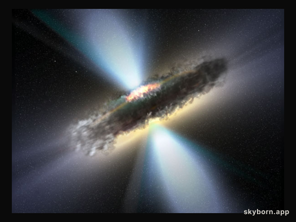 Molecular Torus Surrounds Black Hole
