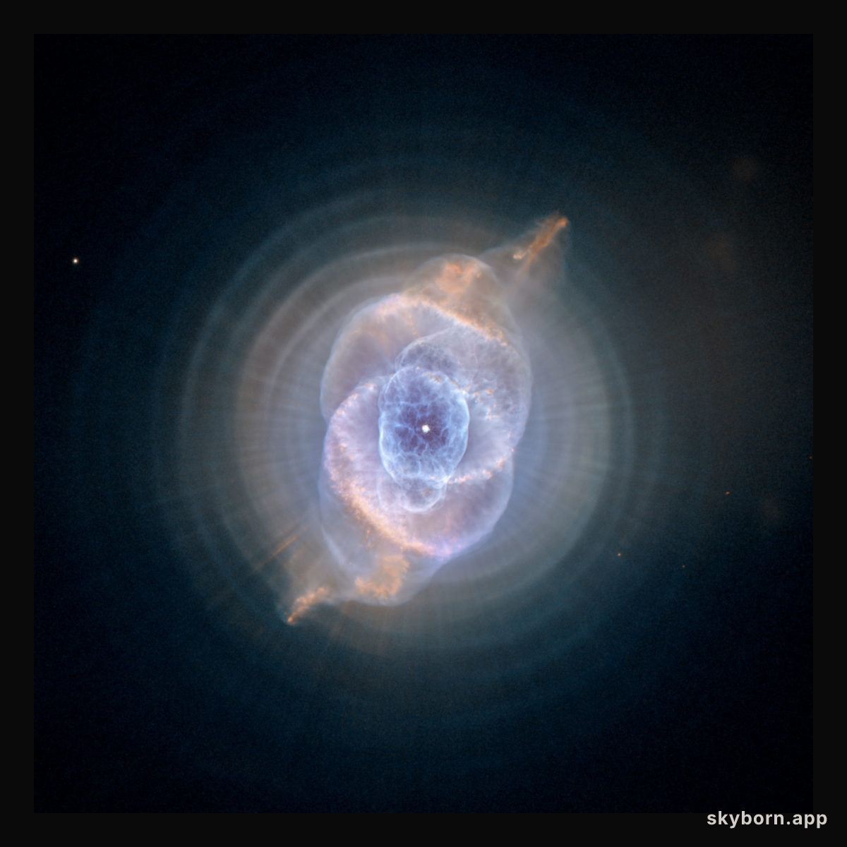 Cat's Eye