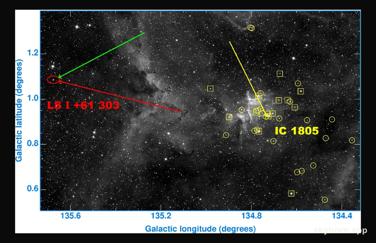Microquasar in Motion