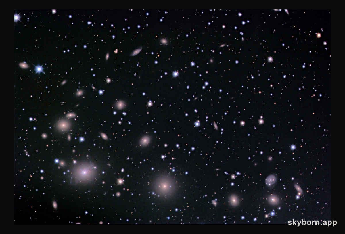 The Perseus Cluster of Galaxies