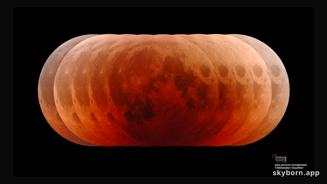 Pumpkin Moon