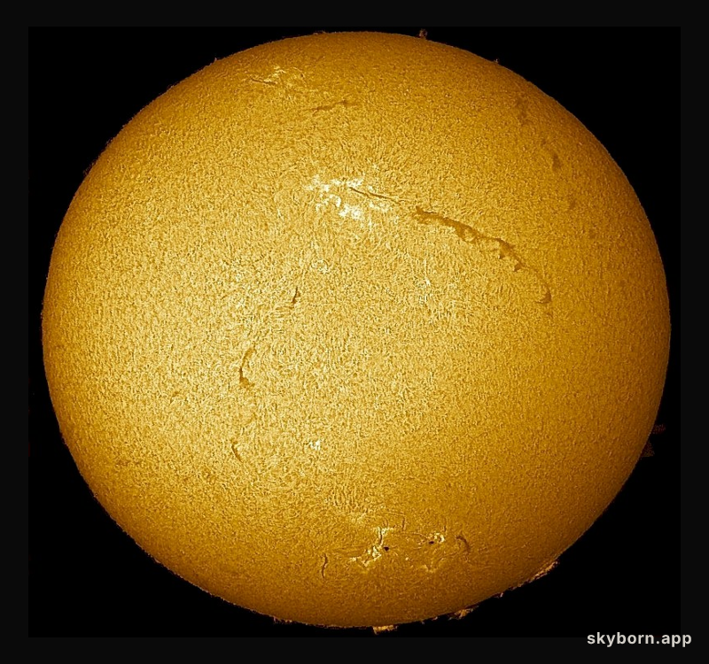 Filaments Across the Sun