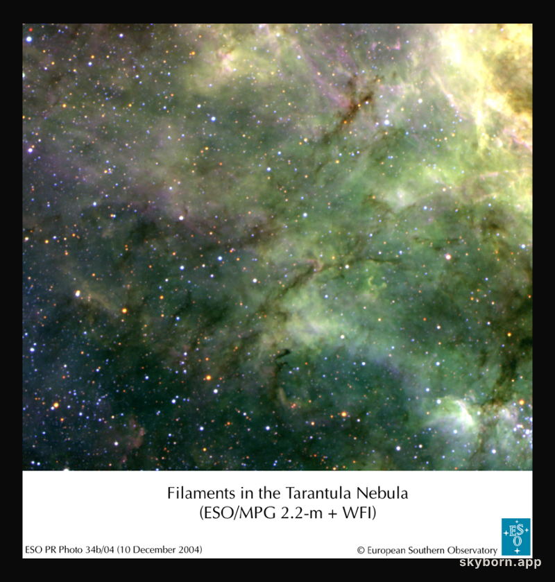 Tentacles of the Tarantula Nebula
