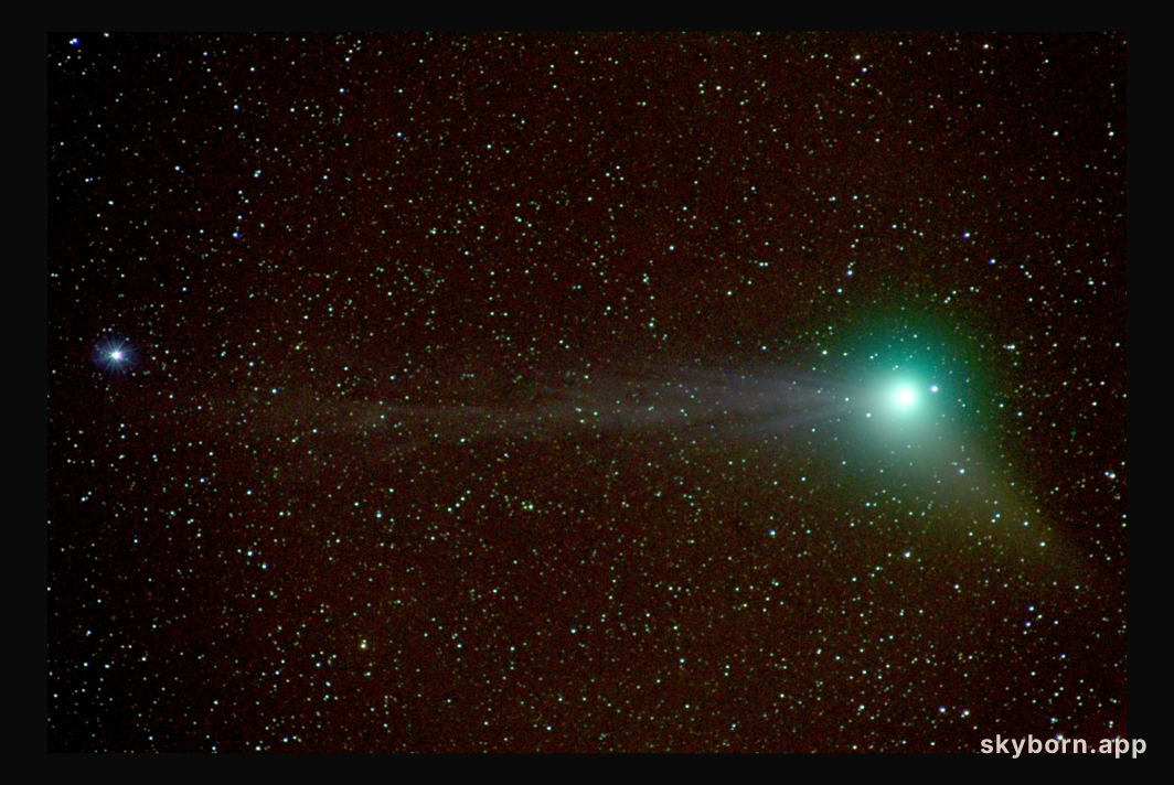 Comet Machholz in View
