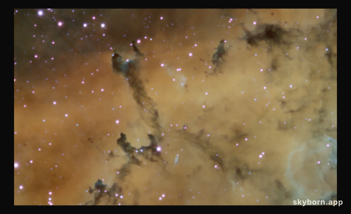 Dust Sculptures in the Rosette Nebula