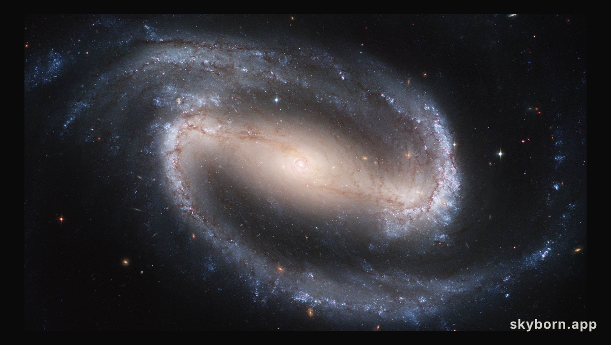 Barred Spiral Galaxy NGC 1300