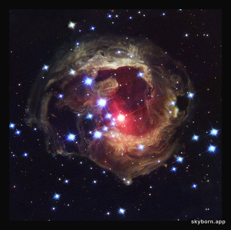 V838 Mon: Light Echo Update