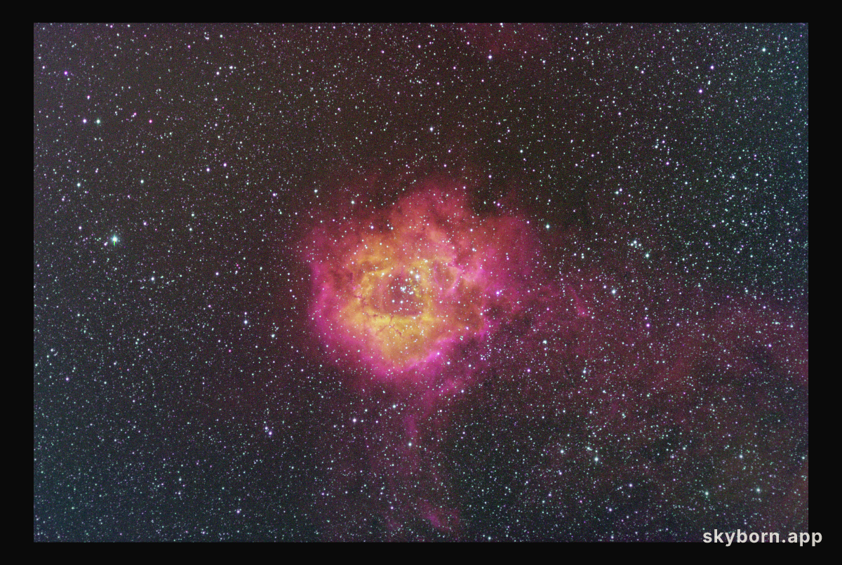 The Rosette Nebula