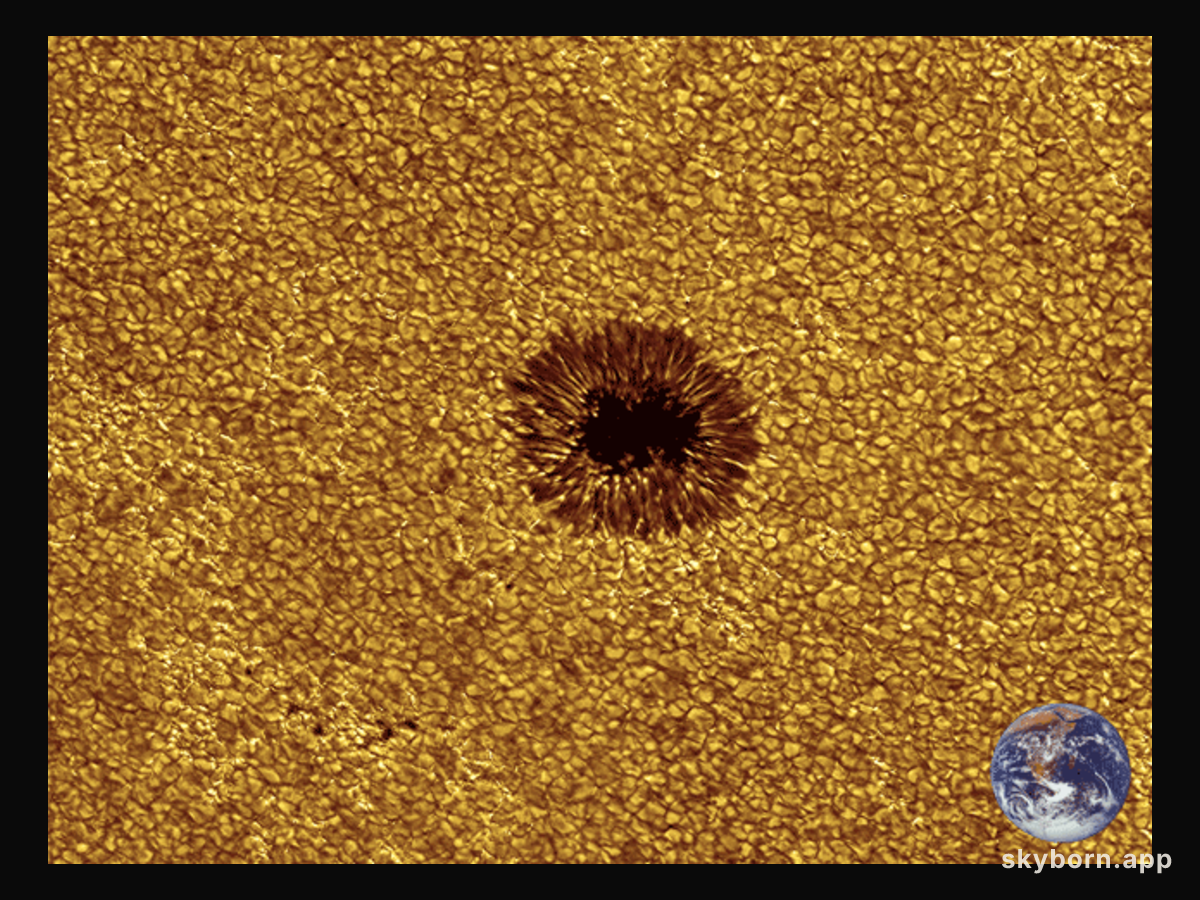 Sunspot Metamorphosis: From Bottom to Top