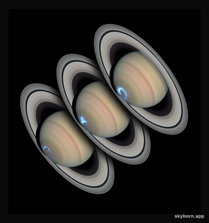 Persistent Saturnian Auroras