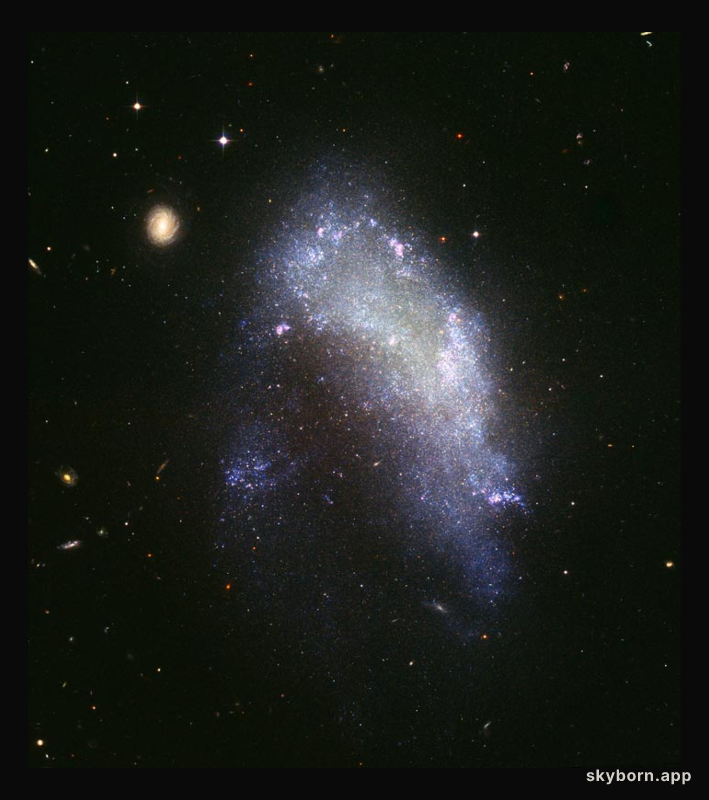 NGC 1427A: Galaxy in Motion