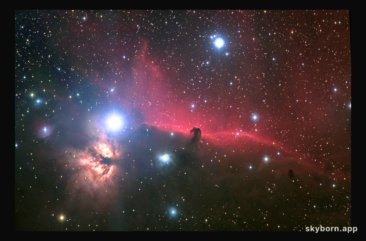 Orion's Horsehead Nebula