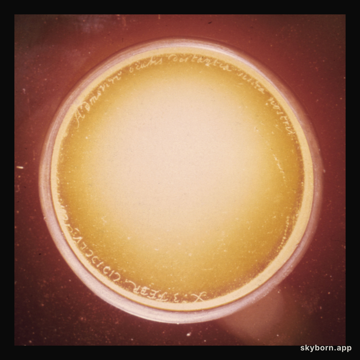Huygens Discovers Luna Saturni