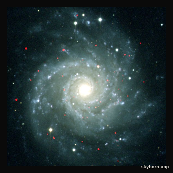 ULXs in M74