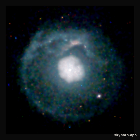 G21.5-0.9: A Supernova's Cosmic Shell
