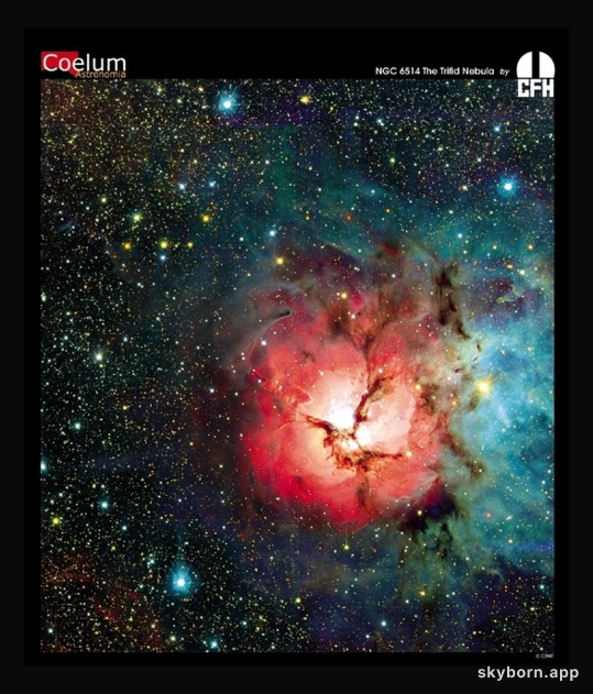 The Trifid Nebula from CFHT