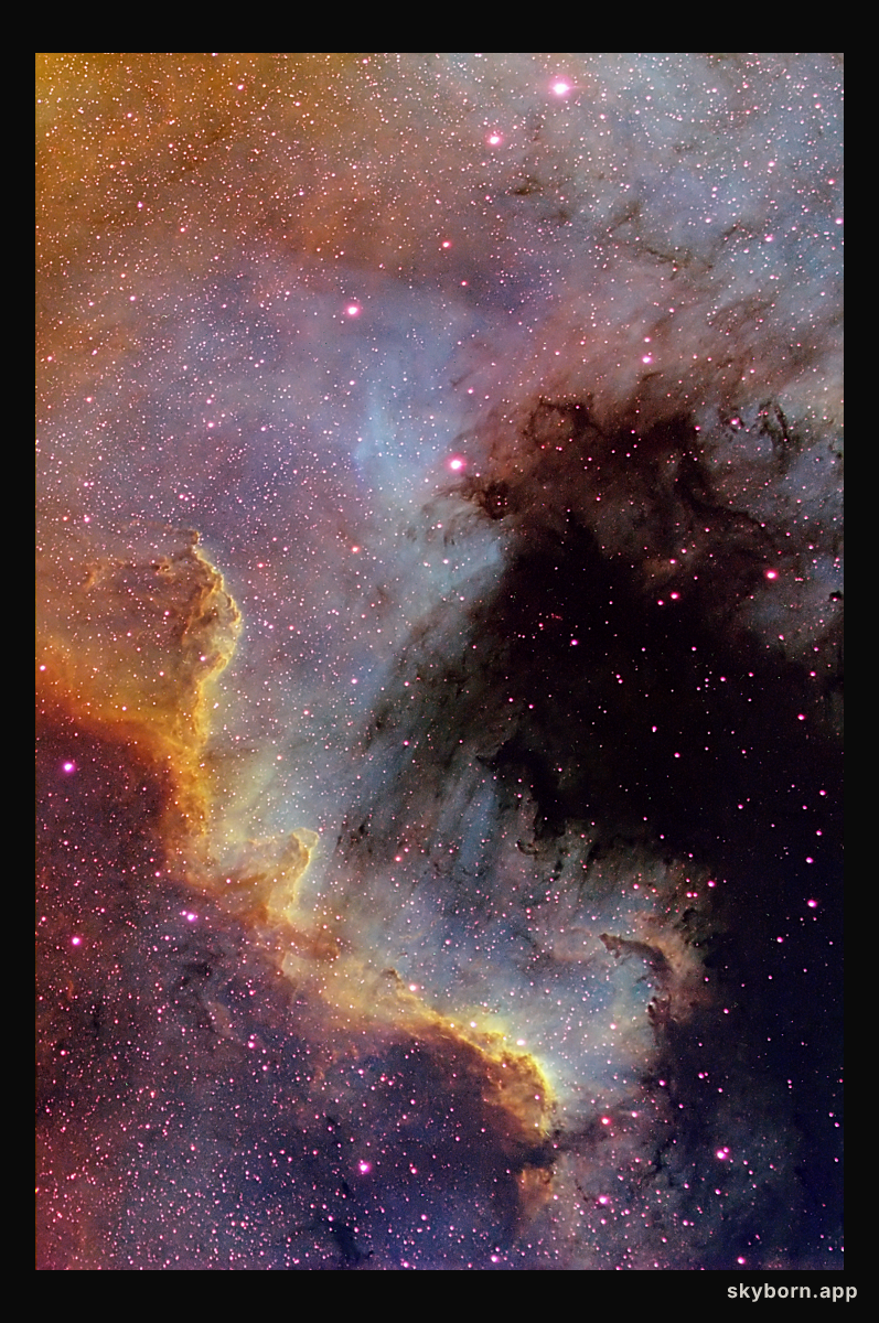 The Cygnus Wall of Star Formation