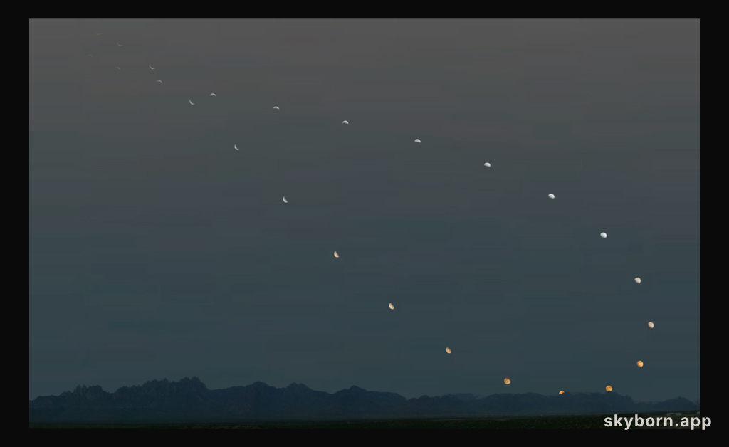 Analemma of the Moon