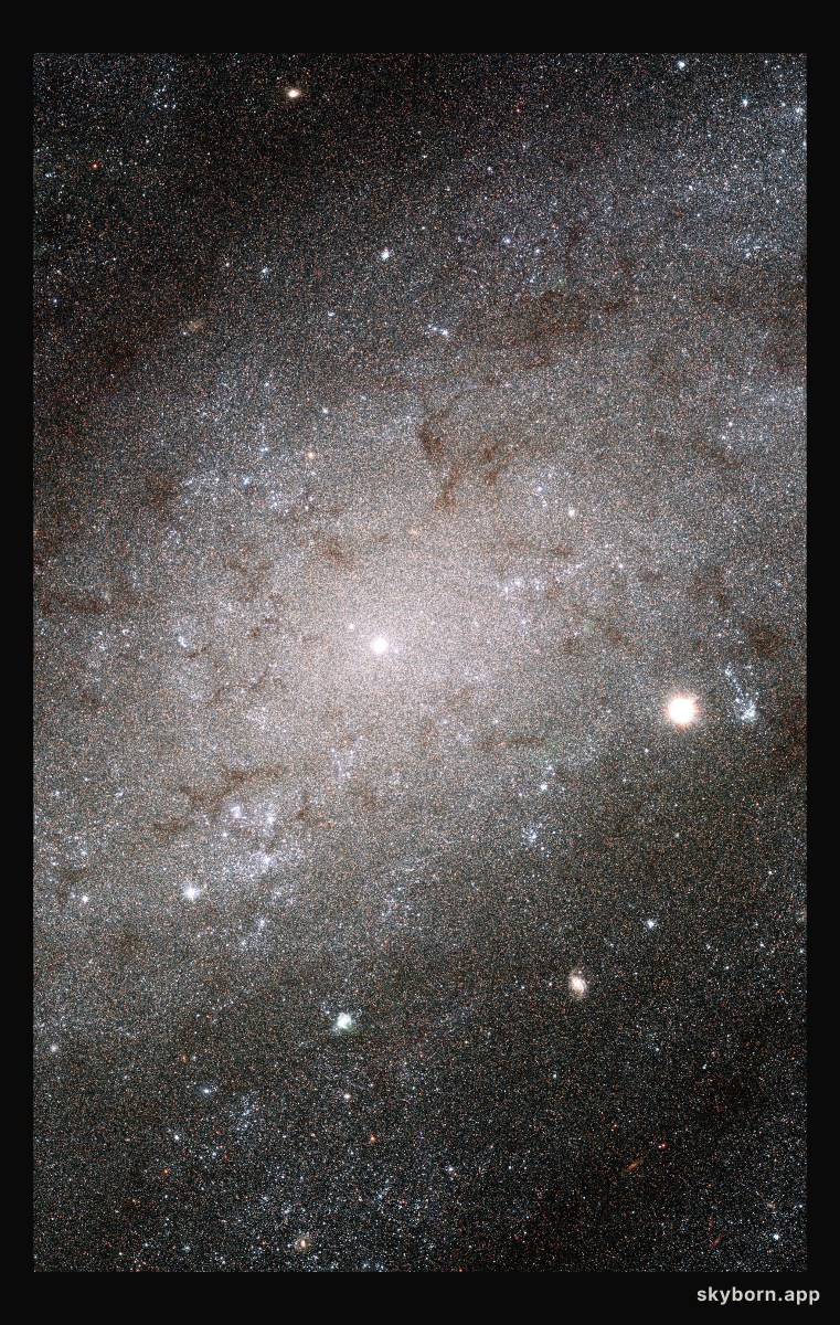 The Stars of NGC 300