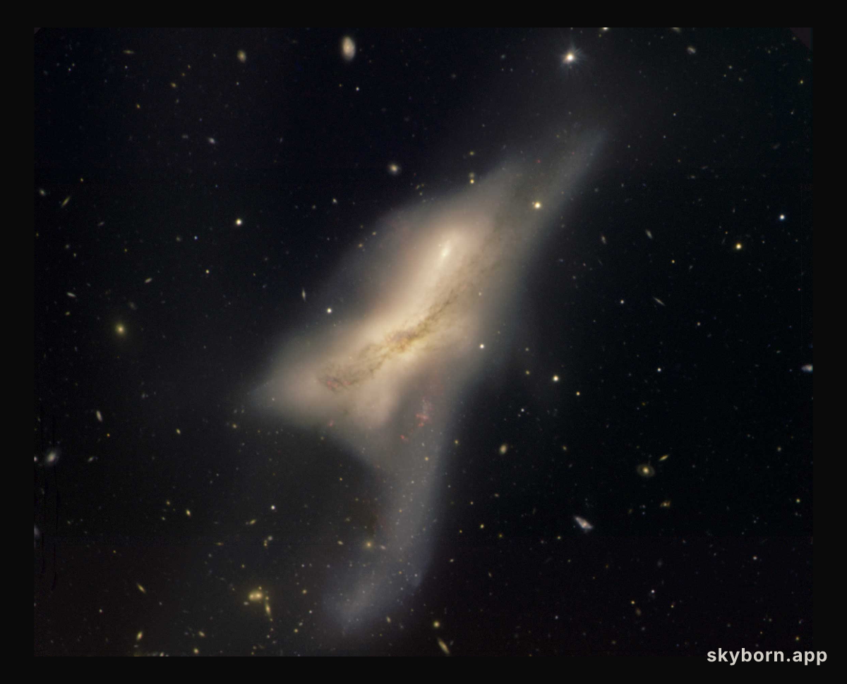 The Colliding Galaxies of NGC 520