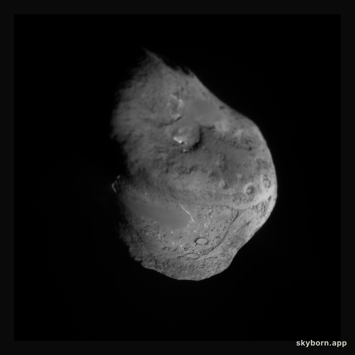 The Nucleus of Comet Tempel 1