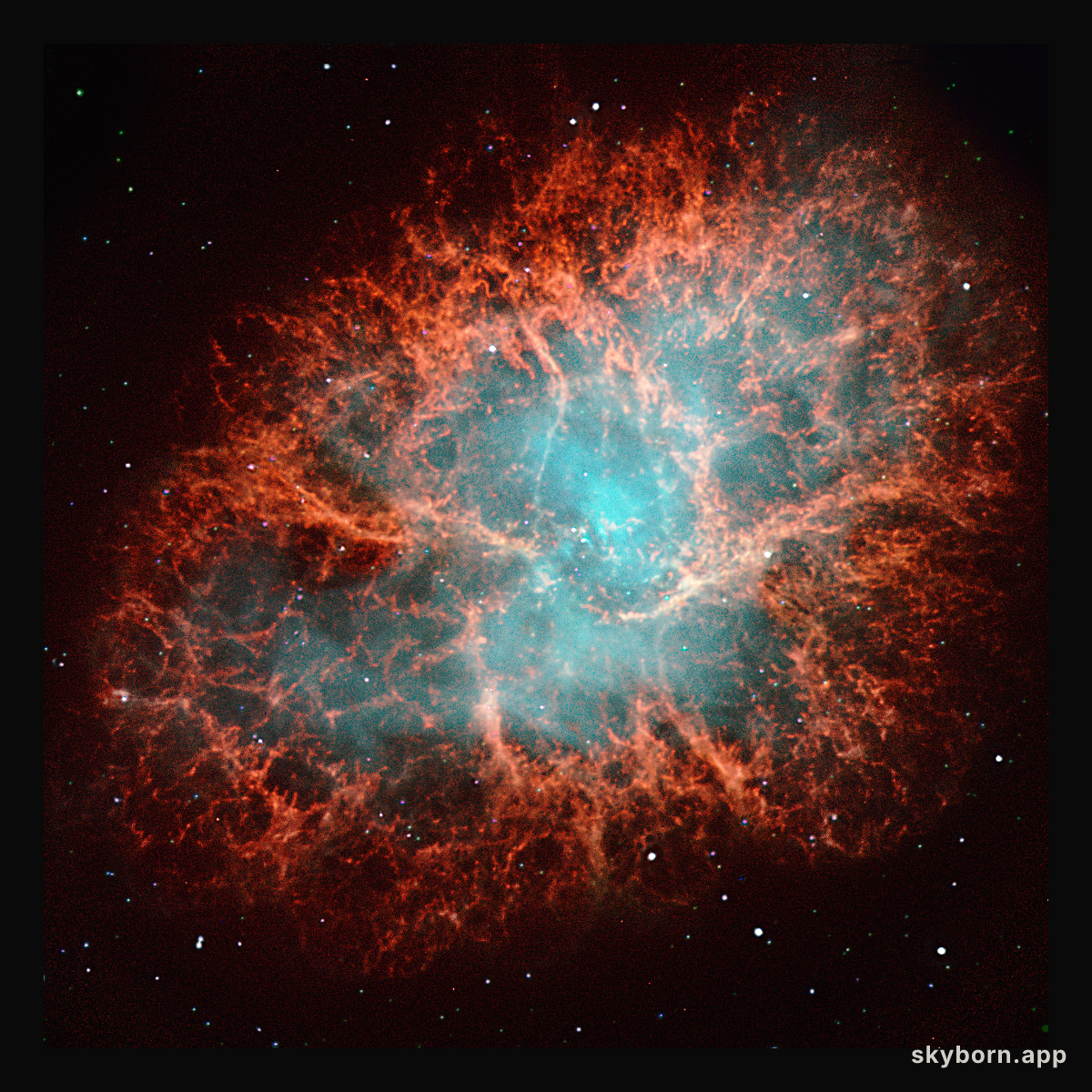 M1: The Crab Nebula from NOT