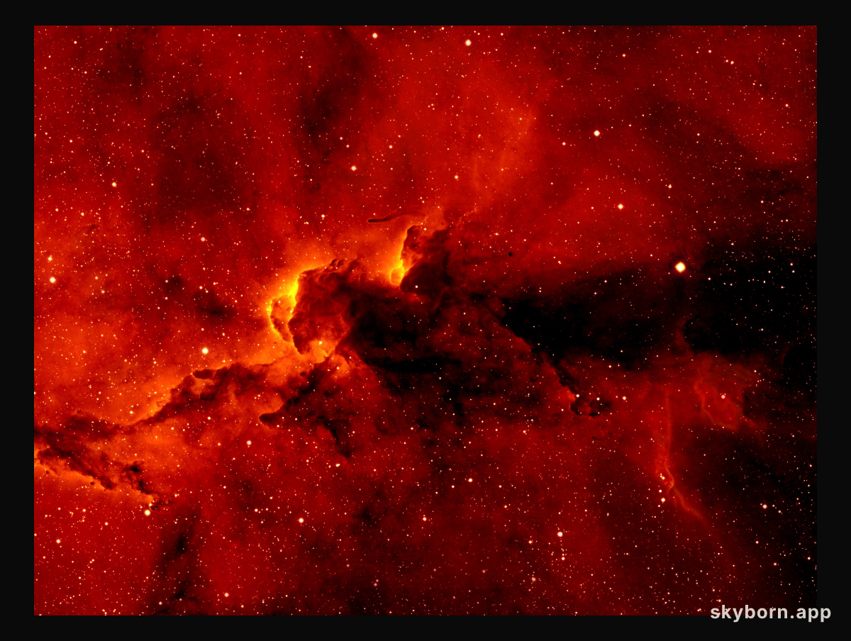 IC 1396 H-Alpha Close-Up