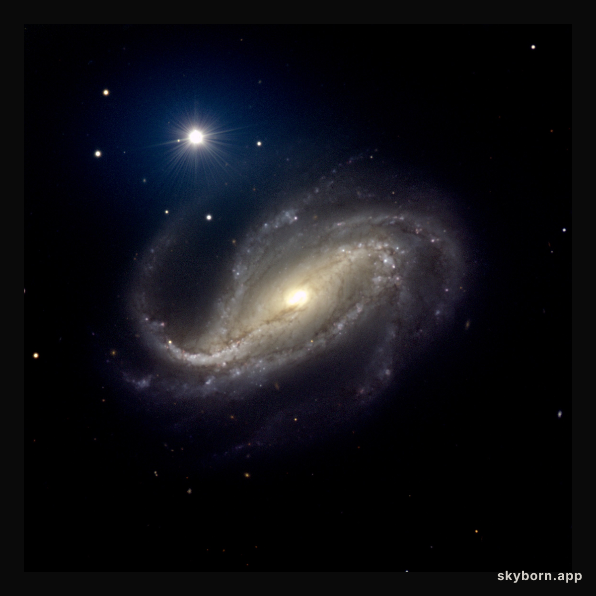 NGC 613: Spiral of Dust and Stars