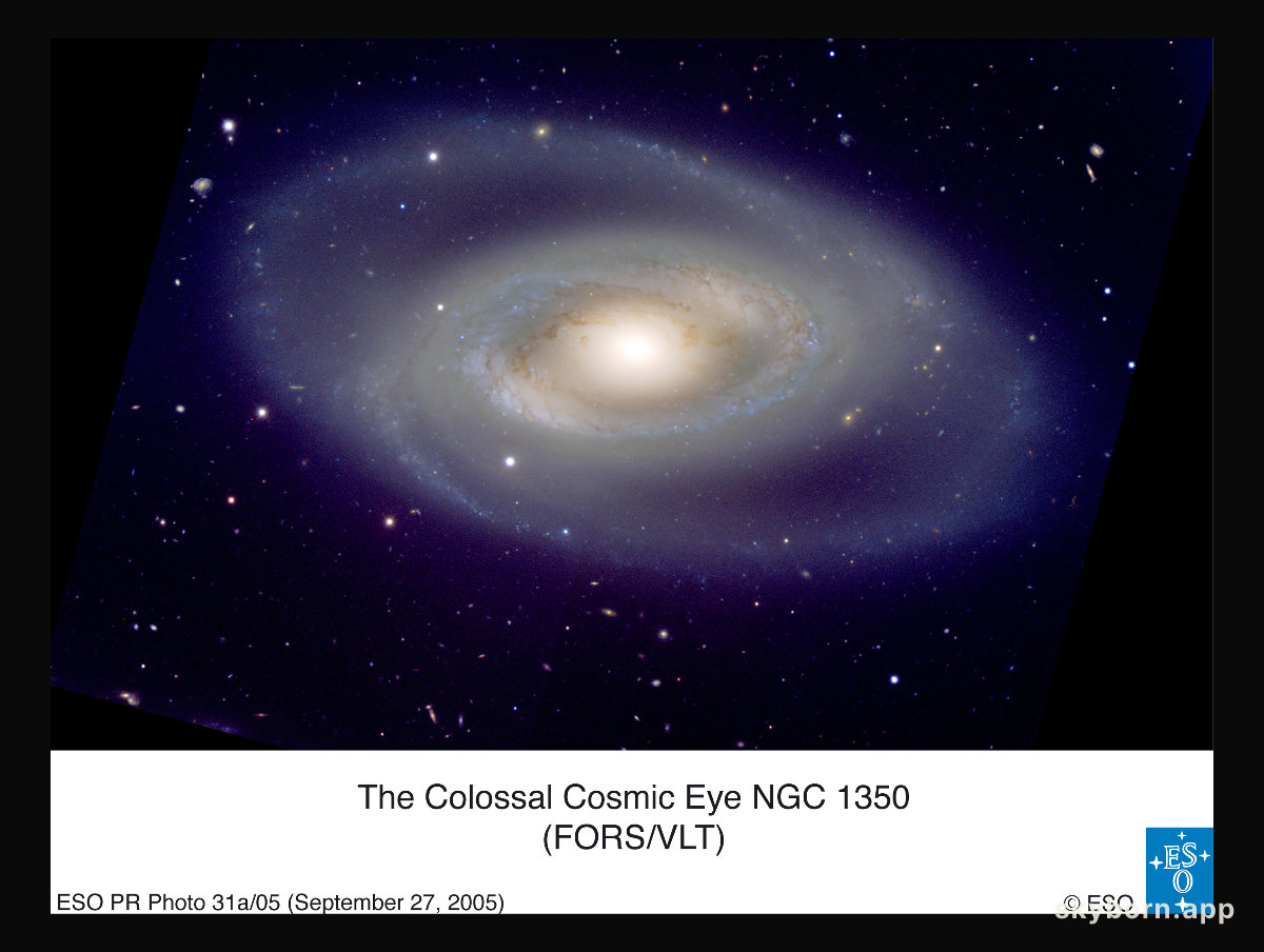 Spiral Galaxy NGC 1350