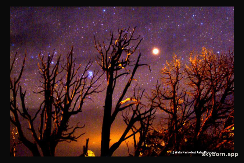A Martian Halloween