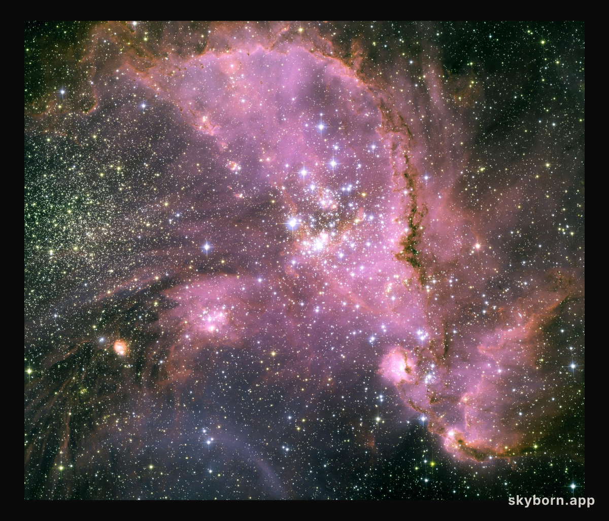 Young Stars of NGC 346