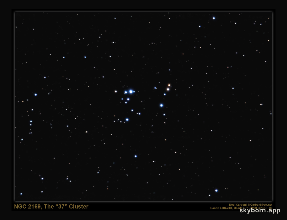The 37 Cluster