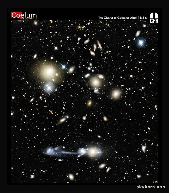 Galactic Collision in Cluster Abell 1185
