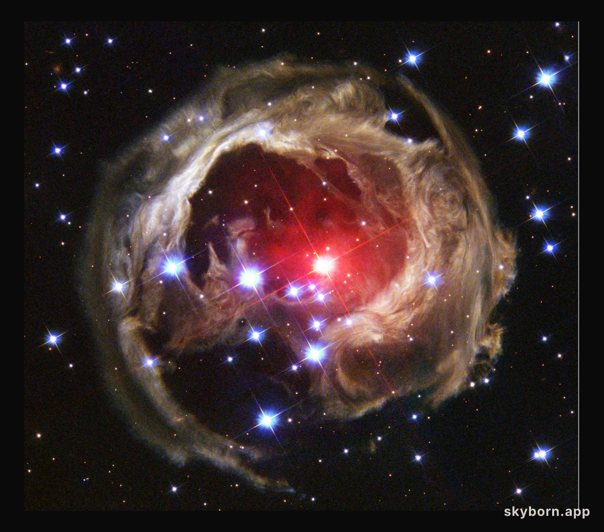 Light Echoes from V838 Mon