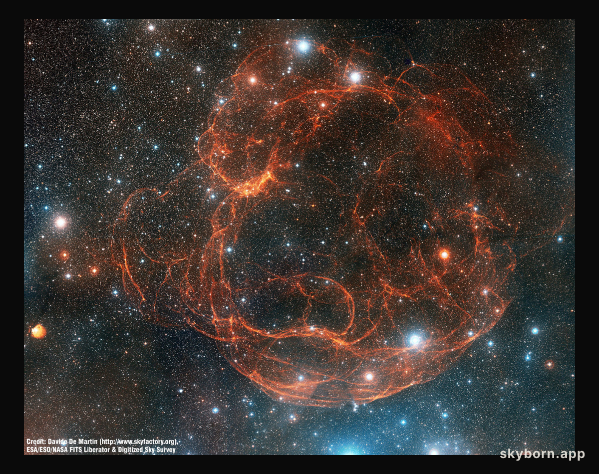 Simeis 147: Supernova Remnant from Palomar
