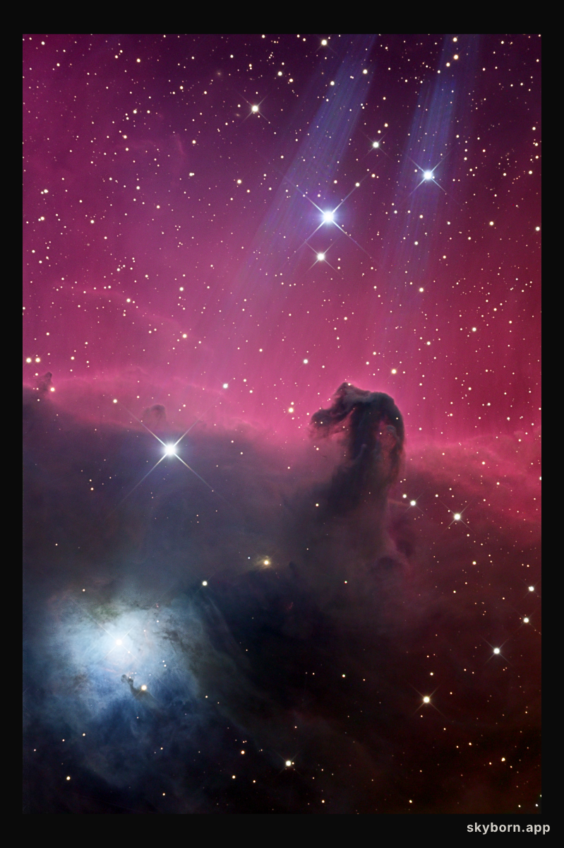 Reflections on the Horsehead Nebula