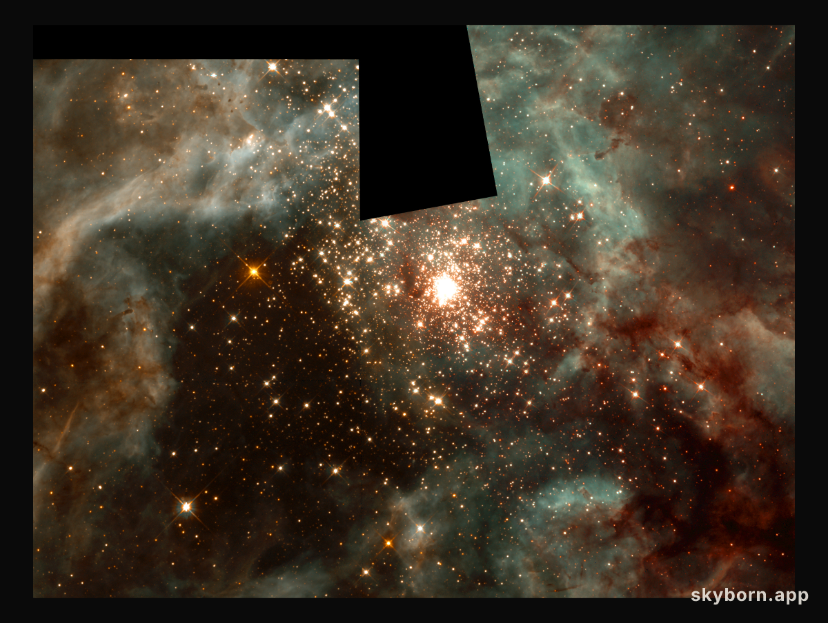 R136: The Massive Stars of 30 Doradus