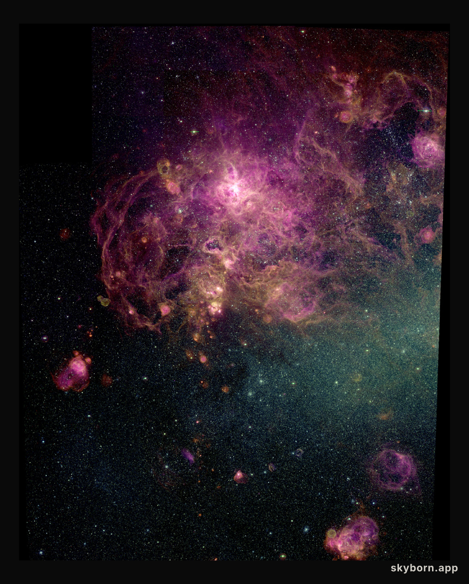 30 Doradus: The Tarantula Zone