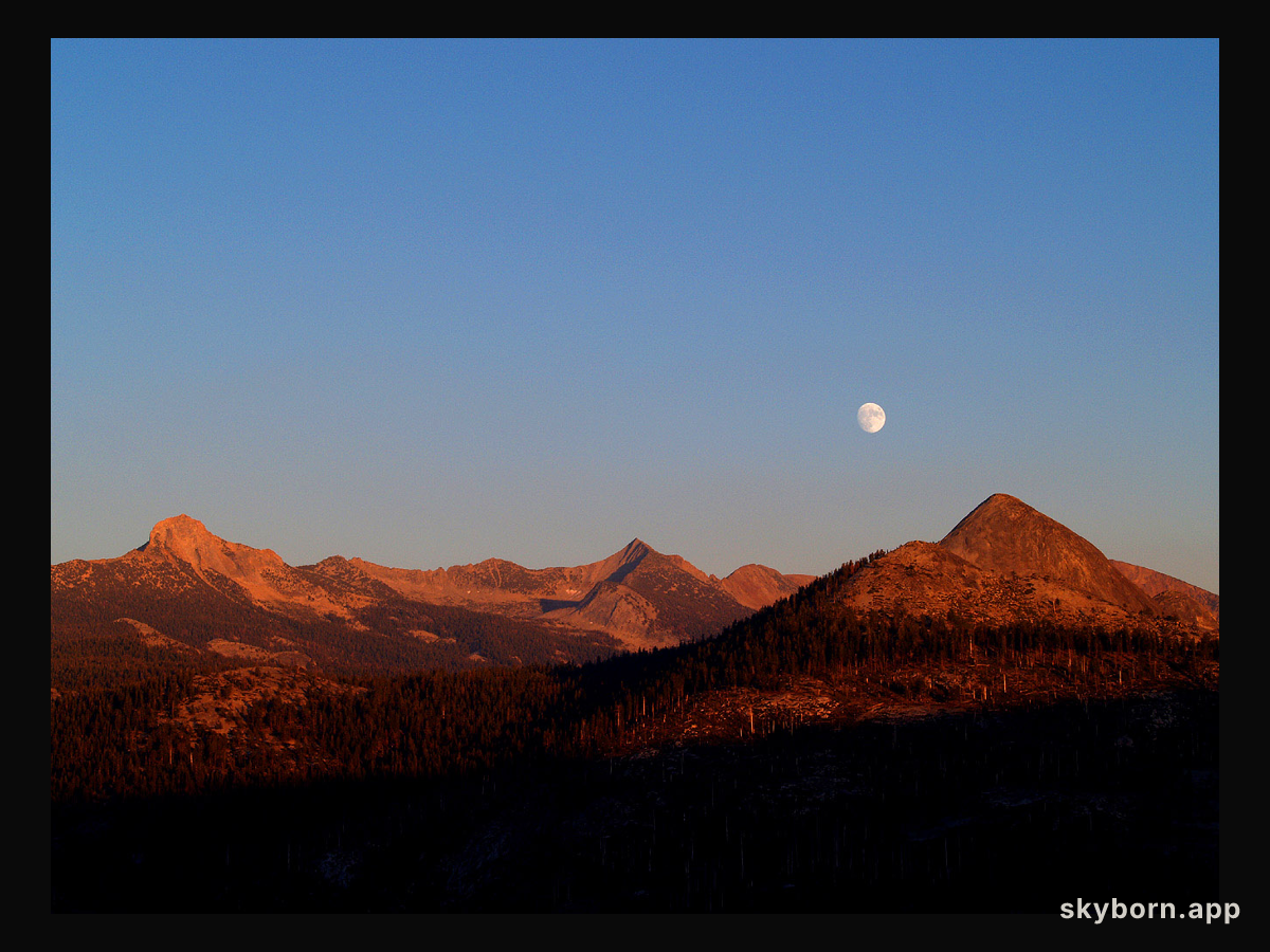 Autumn Moon Encore