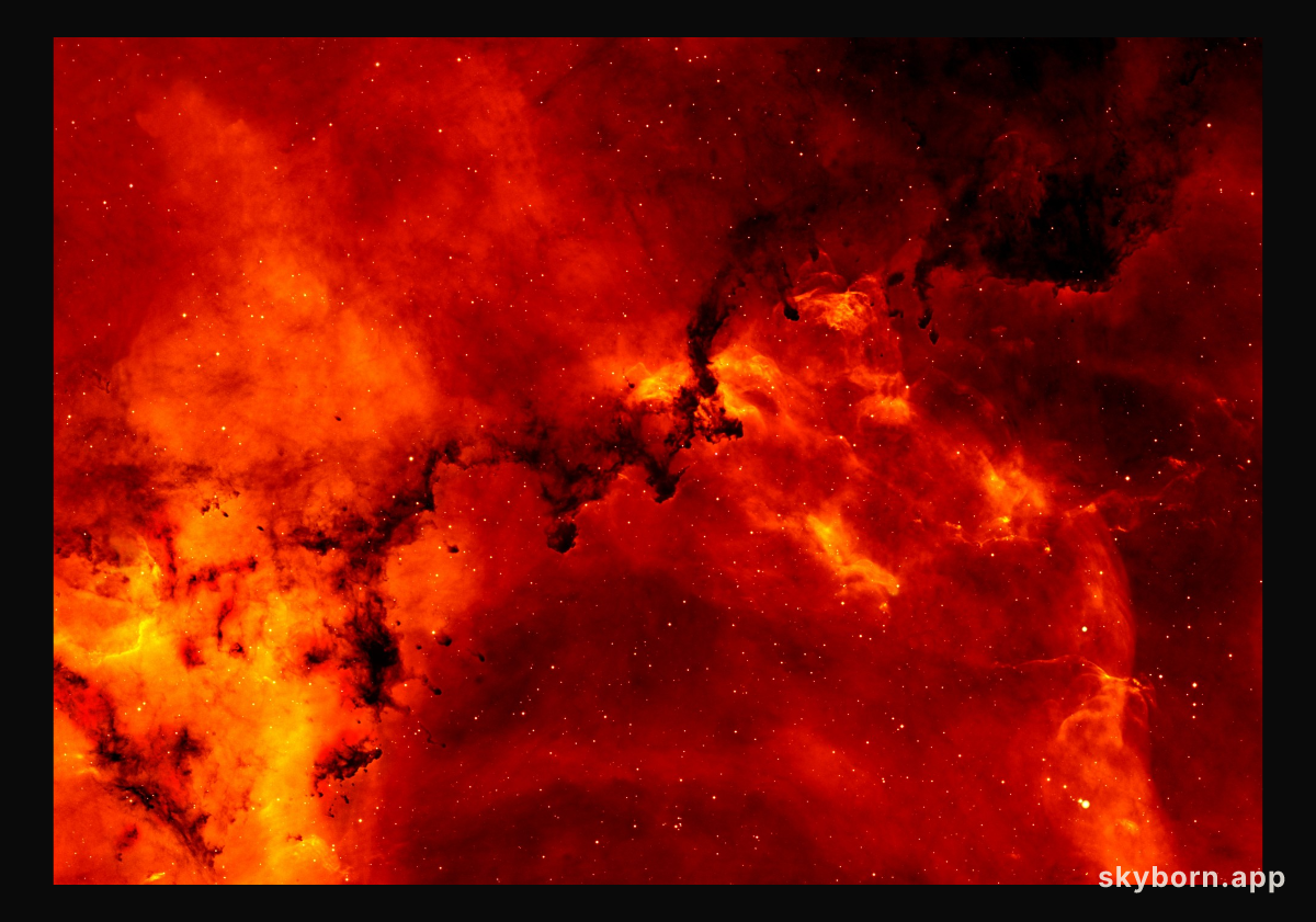 Hydrogen and Dust in the Rosette Nebula