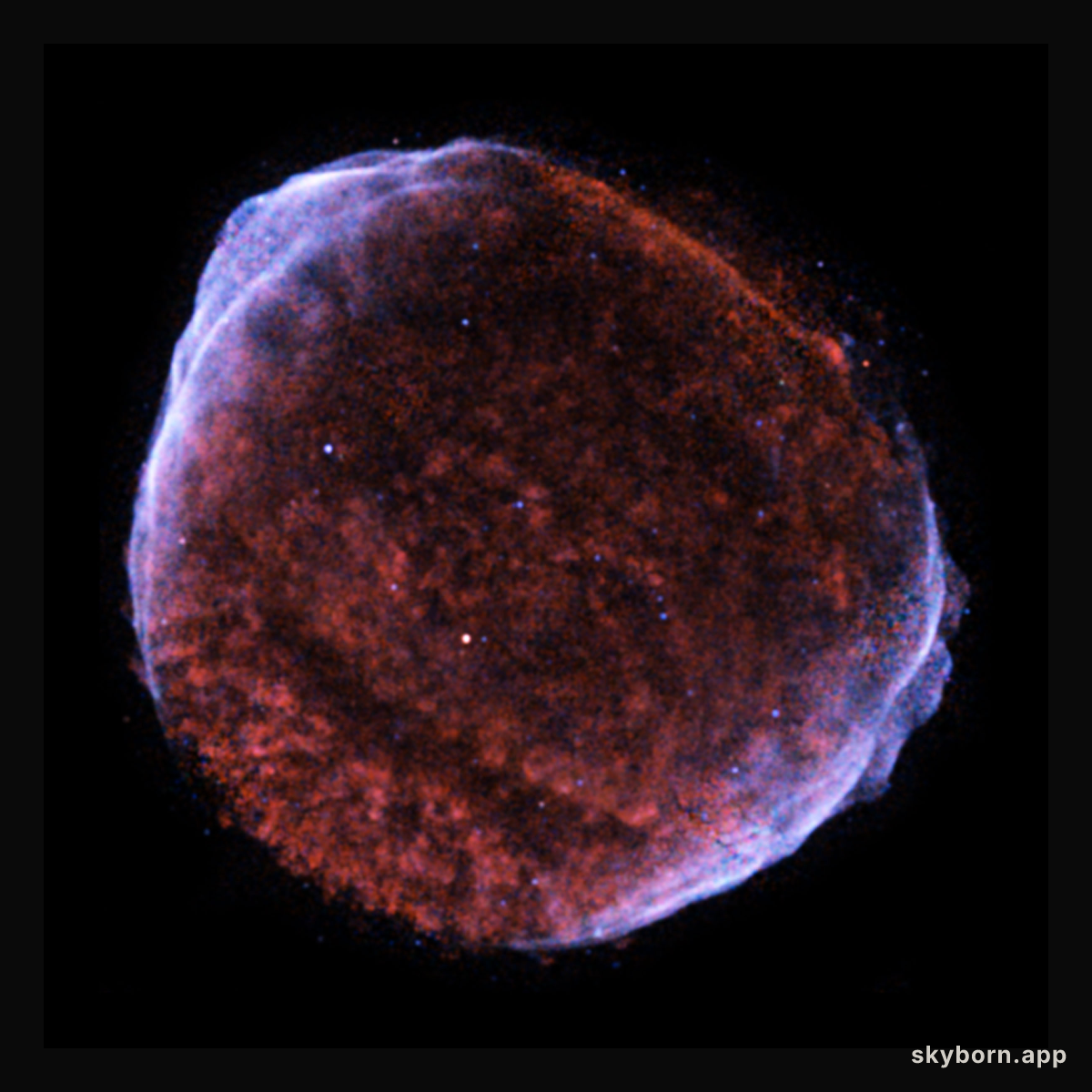 SN 1006: Supernova Remnant in X-Rays