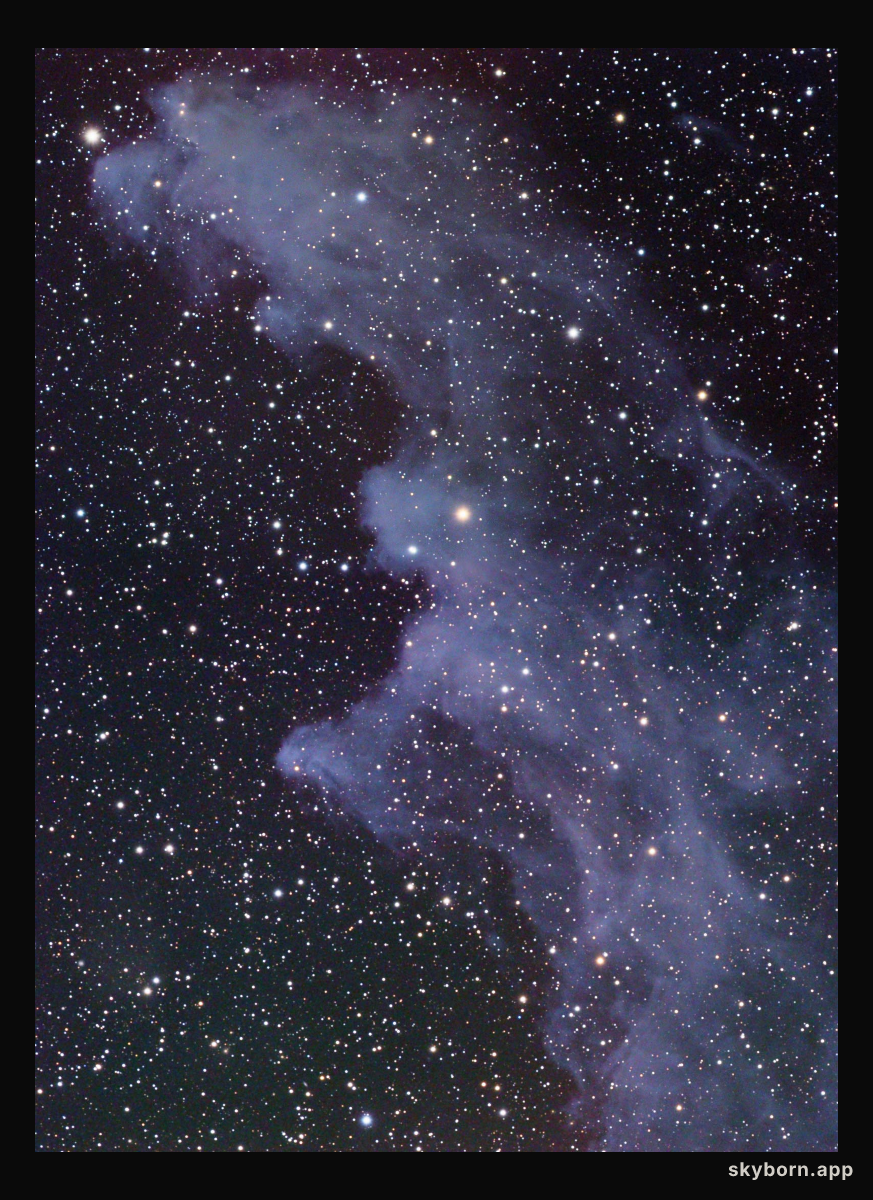 IC 2118: The Witch Head Nebula